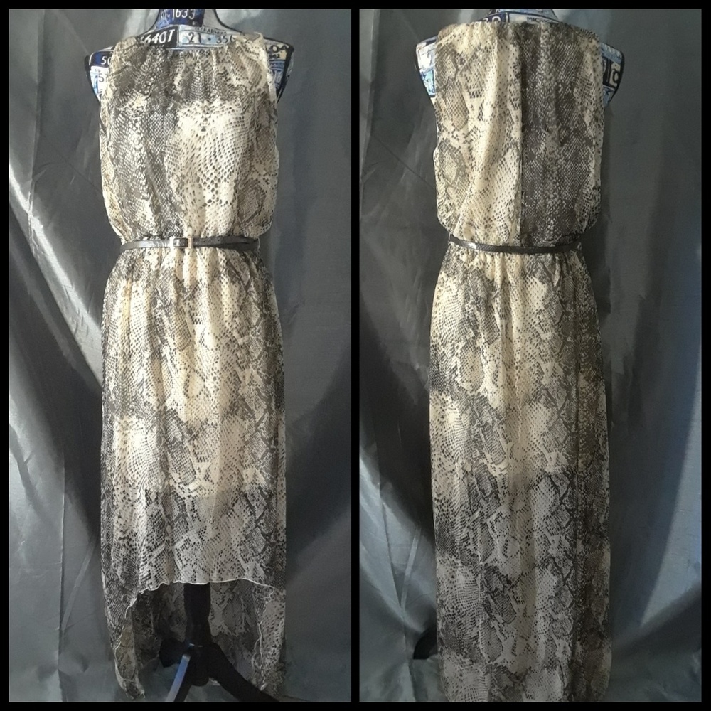 Hi - Low Animal Print Belted Dress